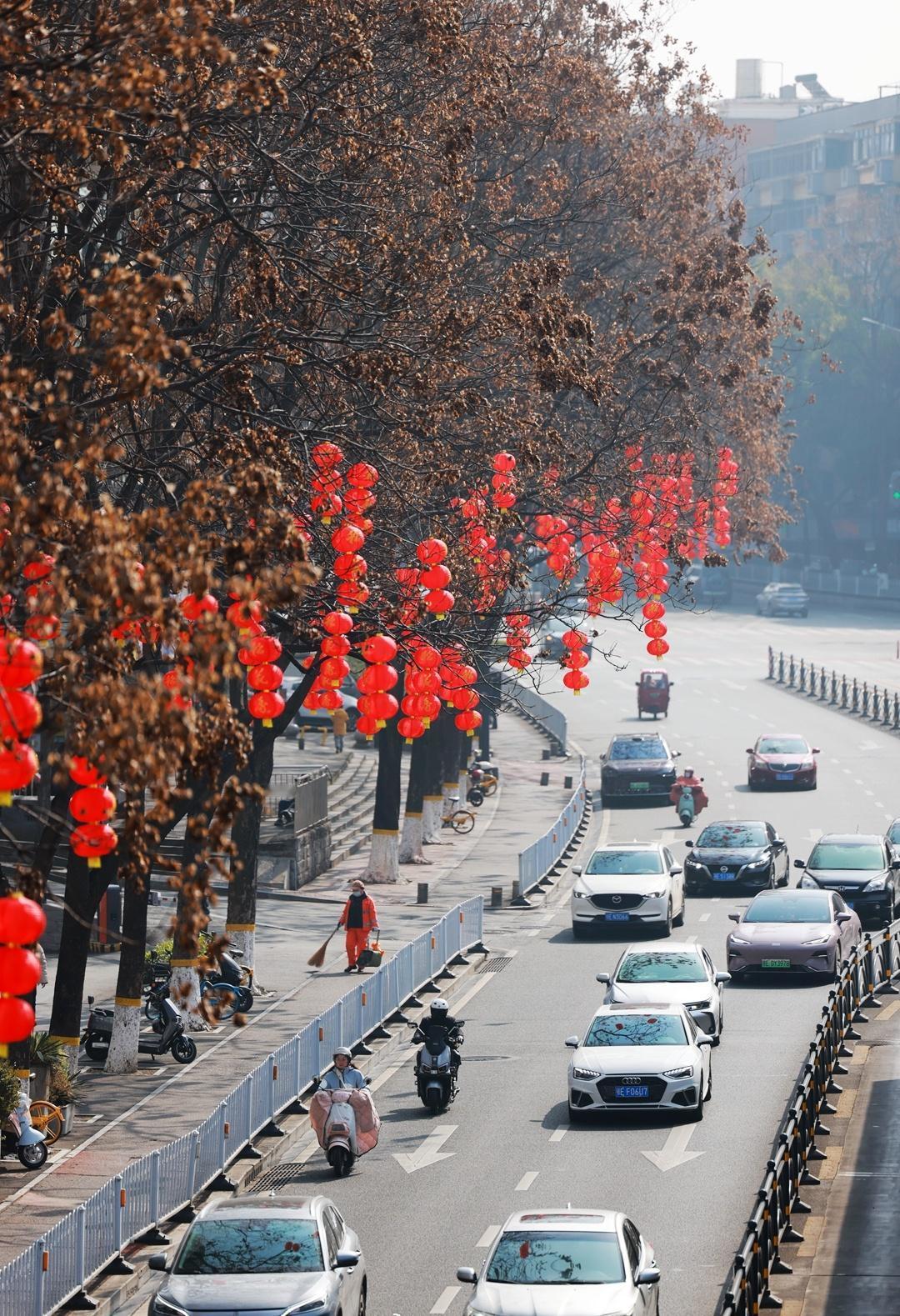 2月2日，宜昌城区东山大道，红灯笼高挂枝头喜迎新春到来。随着马年春节的临近，宜昌