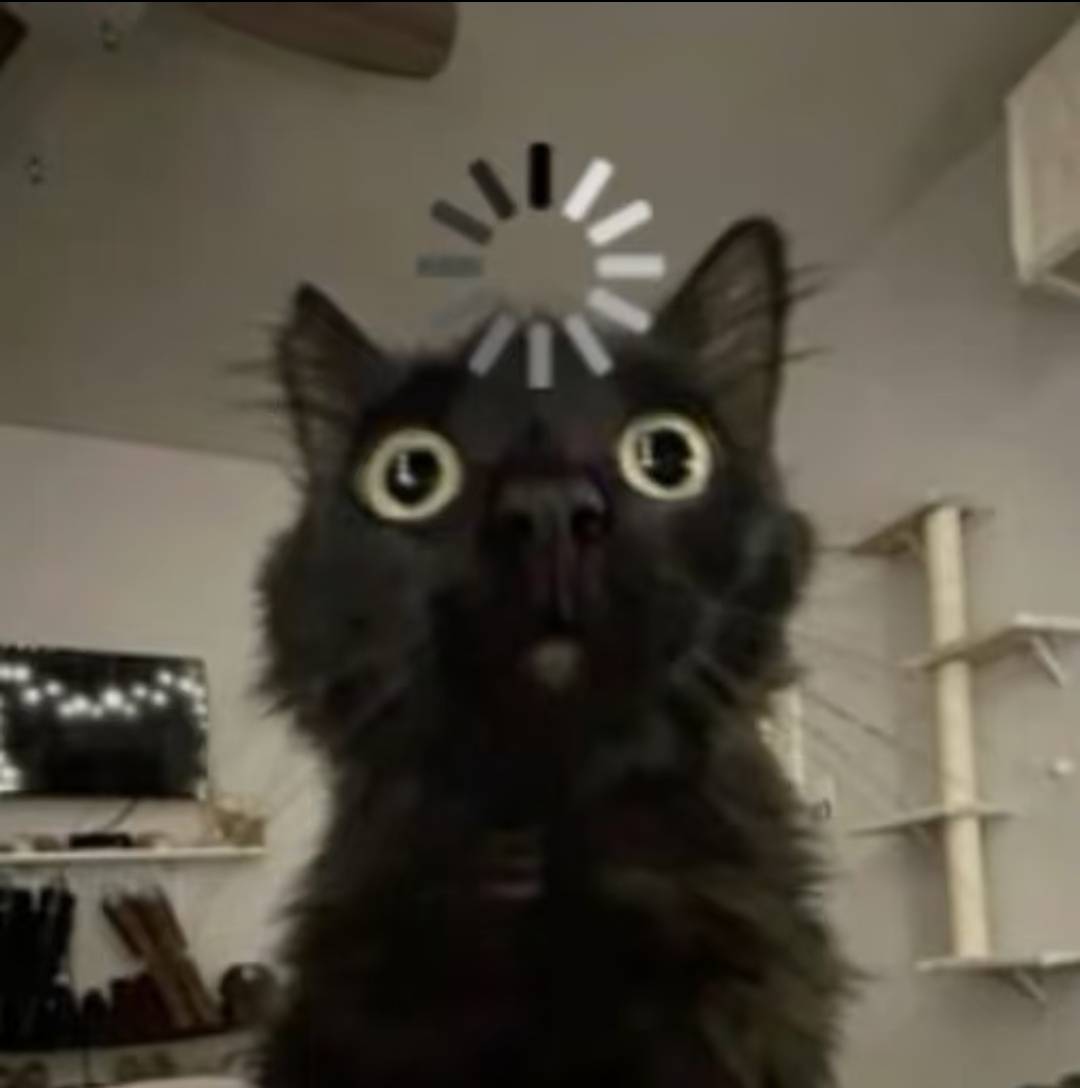你知道的，这里有两种小猫 
