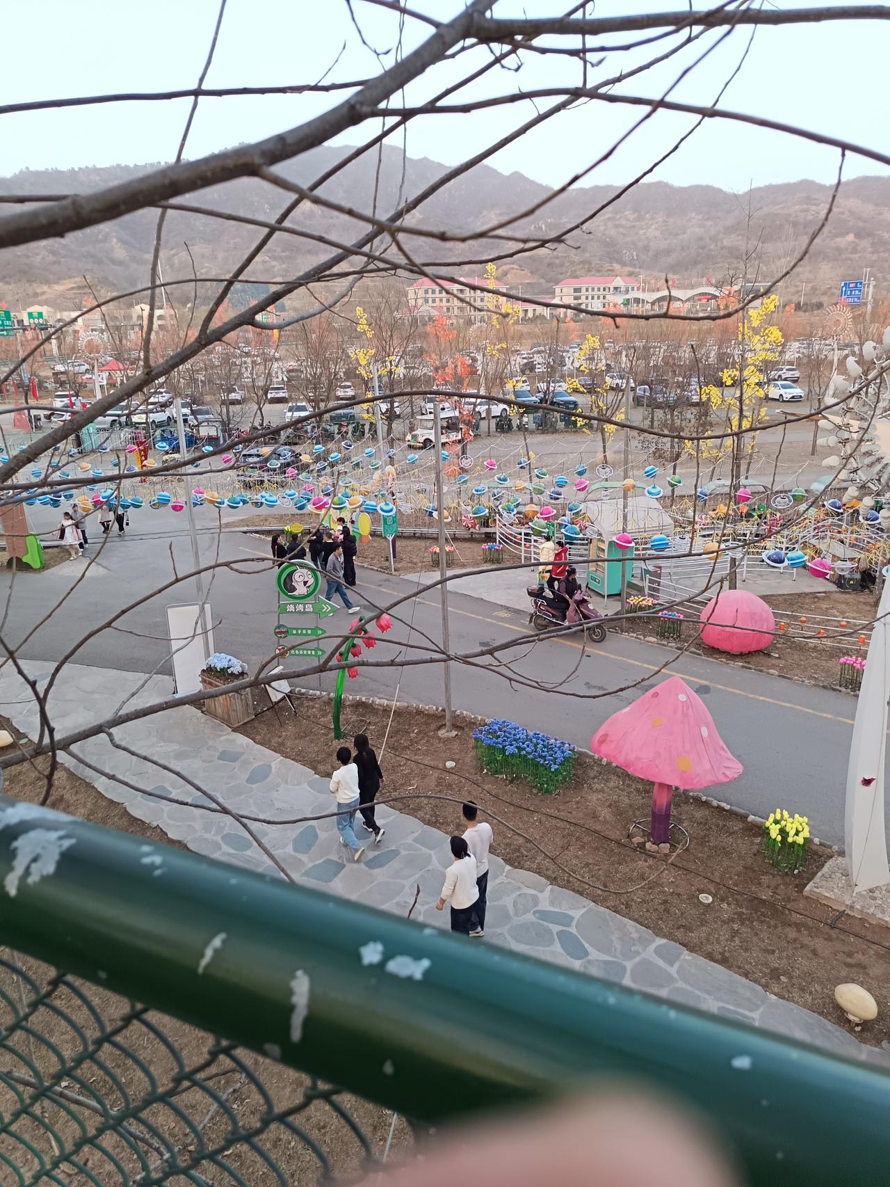 天南地北大拜年