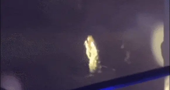 突发！张靓颖摔下舞台