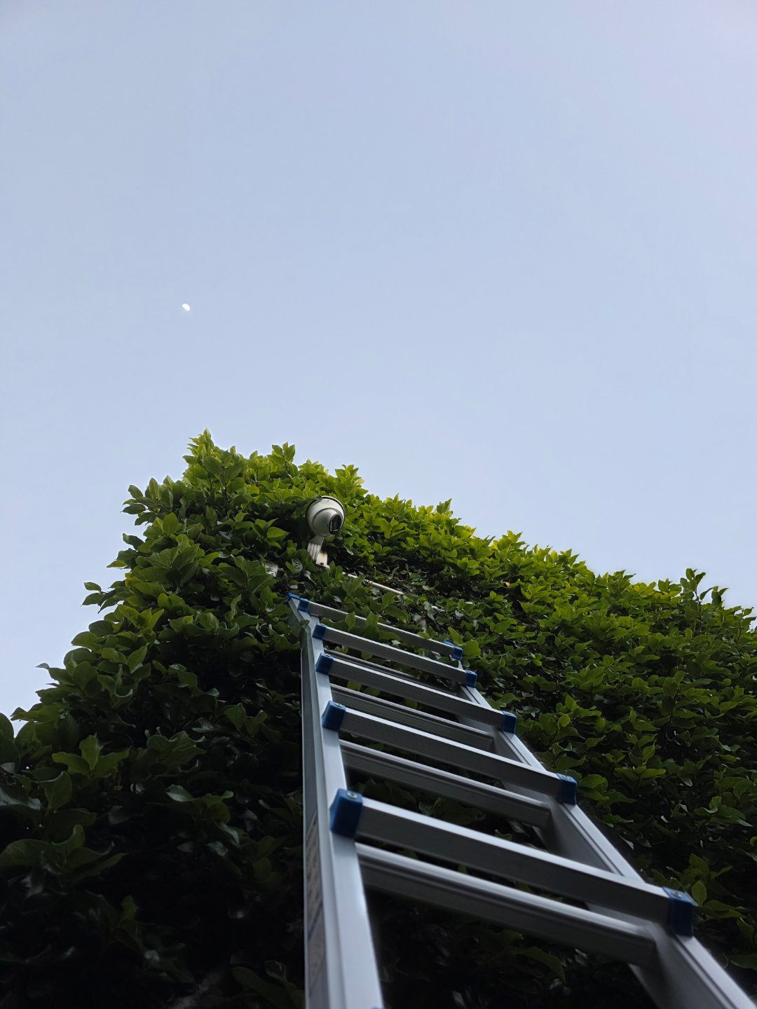 院子里的灯两年换两次他真是不嫌麻烦唉 ​​​