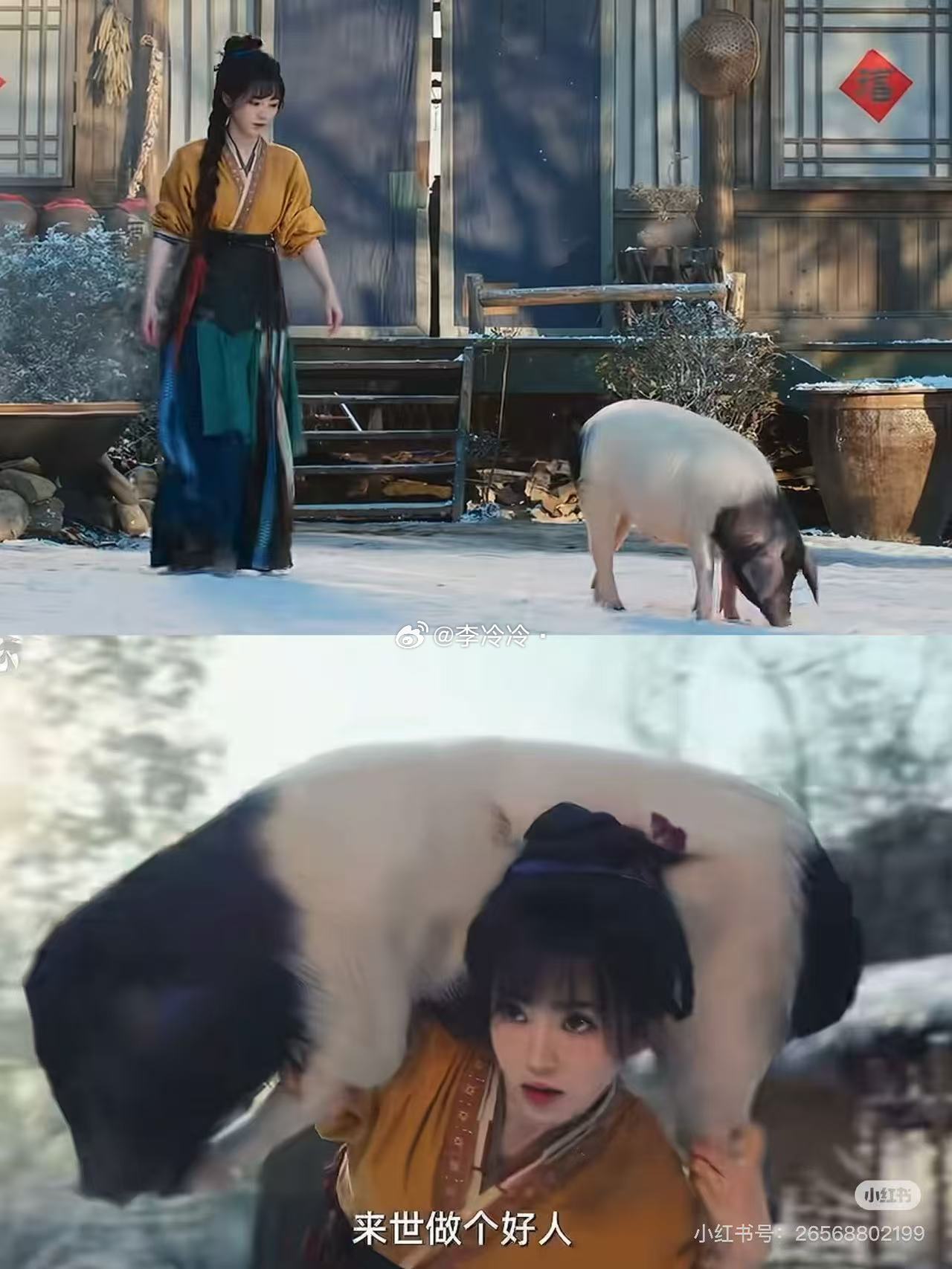 俺不中了哈哈哈哈哈哈哈长玉你好大的力气啊哈哈哈太强了吧！樊长玉 劲草型女主