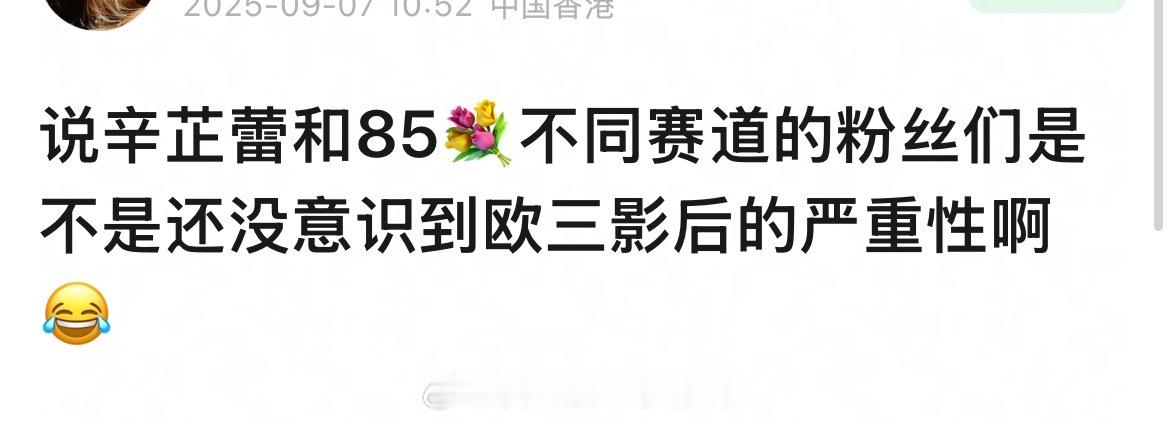 网友问85花粉觉得本来不会影响自己赛道，知不知道欧三影后的严重性。平时粉丝用来撕