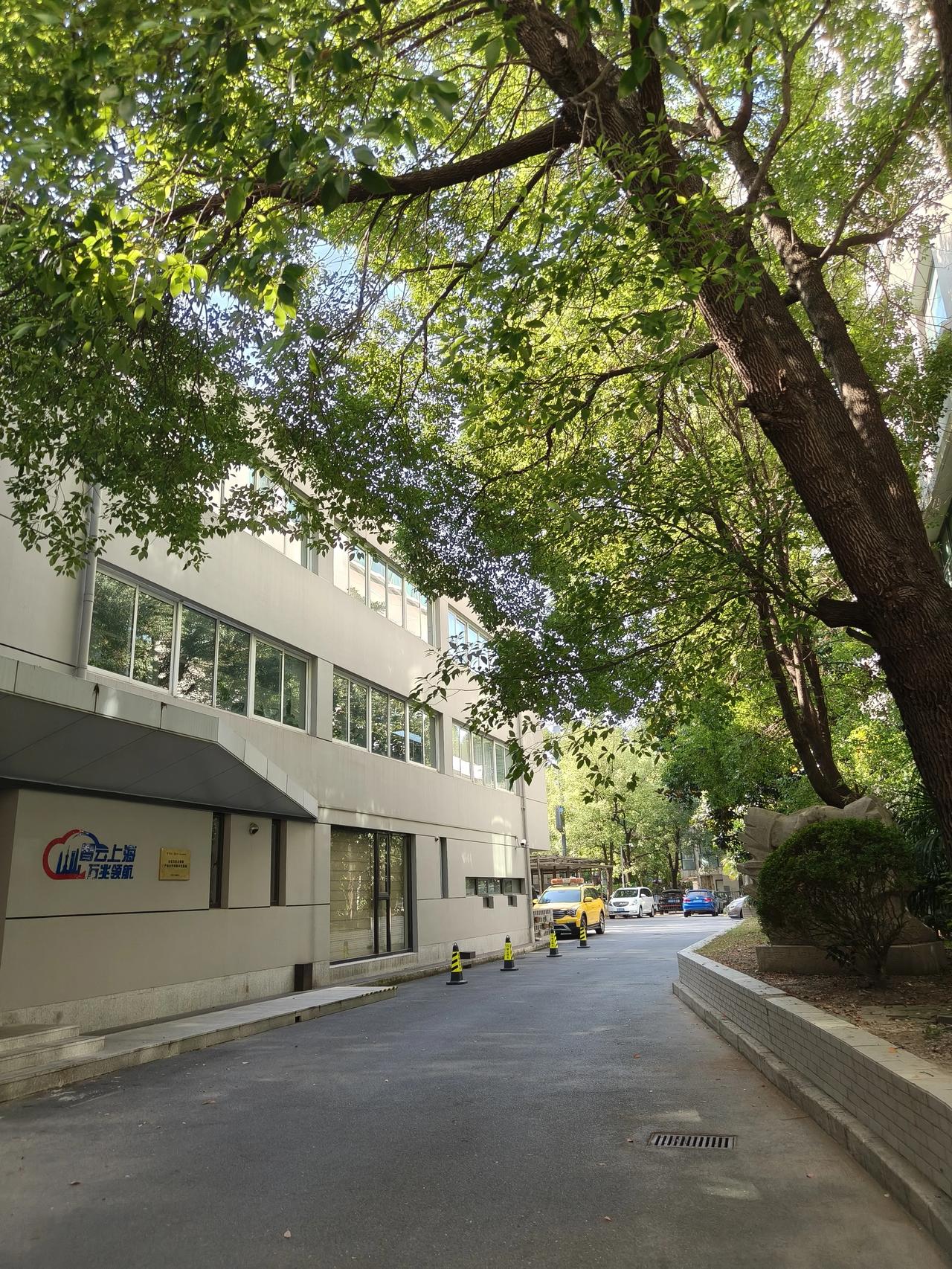 冬日美景随手拍实景图分享！