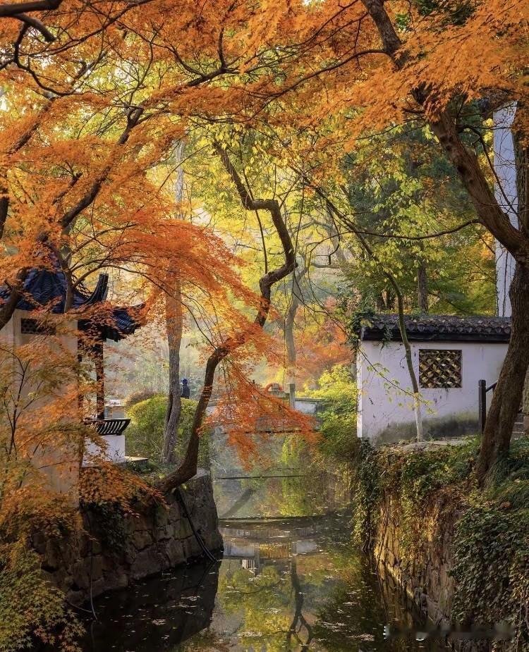 南通最美秋景之一——狼山北麓园。随便一张就是桌面背景。不是身边没有美景，而是早已