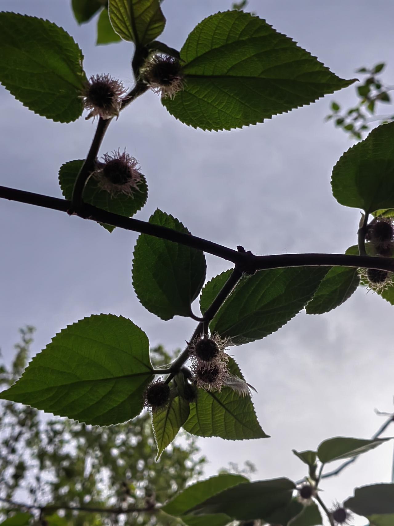 很多人后悔原来的道路，倘若倒回去仍是一样的选择，一样的结果。每个人走的都路是必然