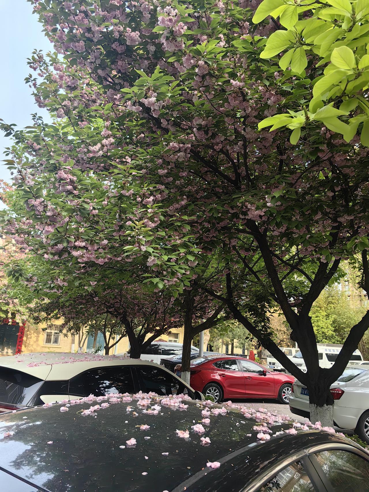 你知道奥德赛时期这个概念吗？

最近刷短视频时，我发现了一个新奇的概念，今天就和