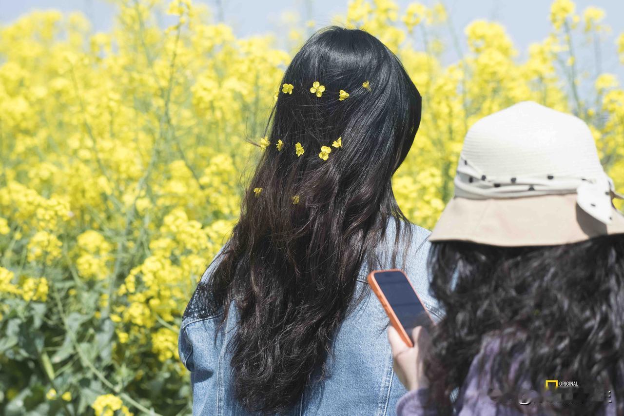 春风把油菜花揉碎了撒在发梢，和好友一起，把春天的温柔都藏进镜头里。
原创作品.禁