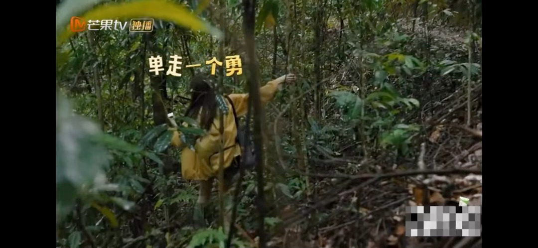 张艺凡霸总式关心田曦薇张艺凡田曦薇演我闺蜜关心我综艺这段姐妹互动也太真实了😂！
