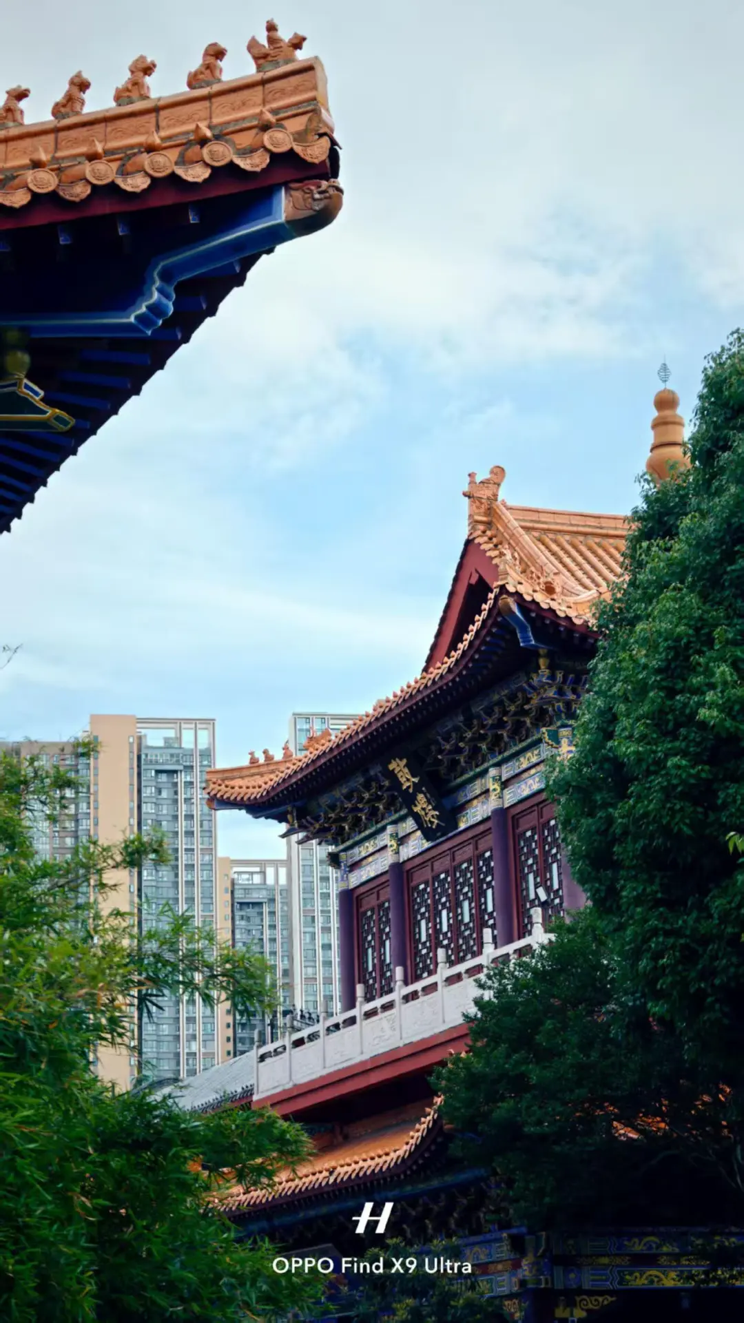 OPPO拍照｜用手机拍出园林的氛围感