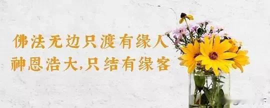 在大盘趋势环境向好的条件下，各种技术指标的准确率较高，可以成为赚钱的工具。
在大