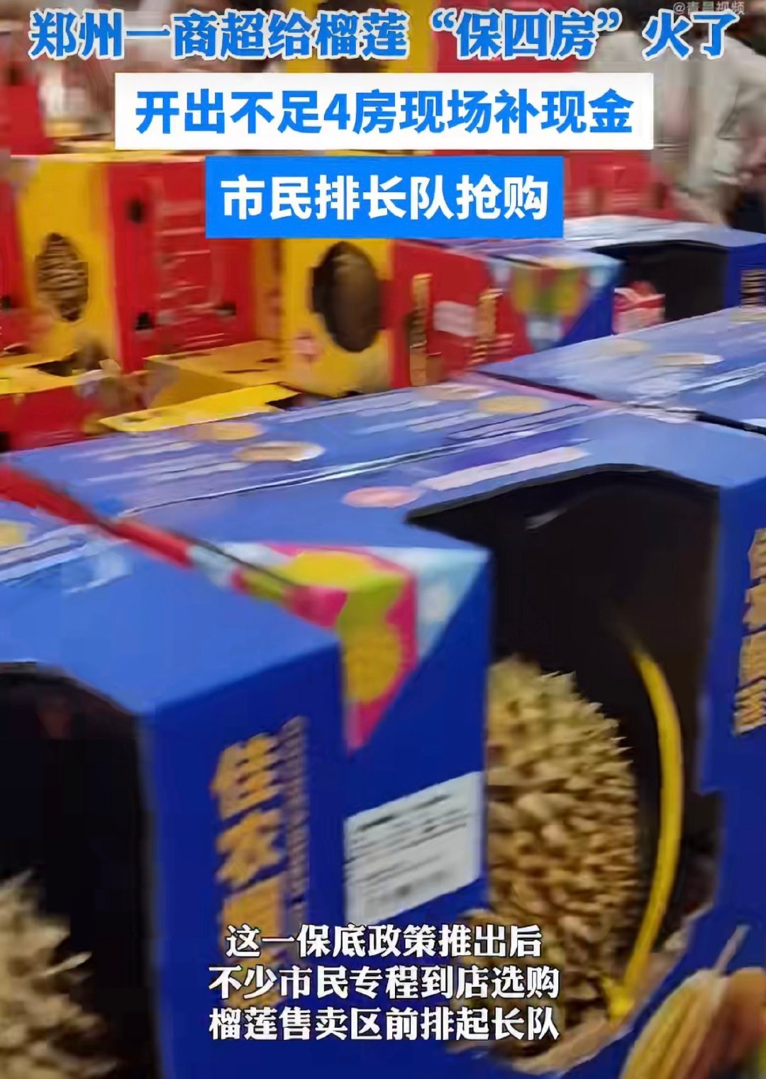 郑州麦德龙保房榴莲引市民排长队郑州一商超给榴莲盲盒设保底服务郑州麦德龙榴莲盲盒居