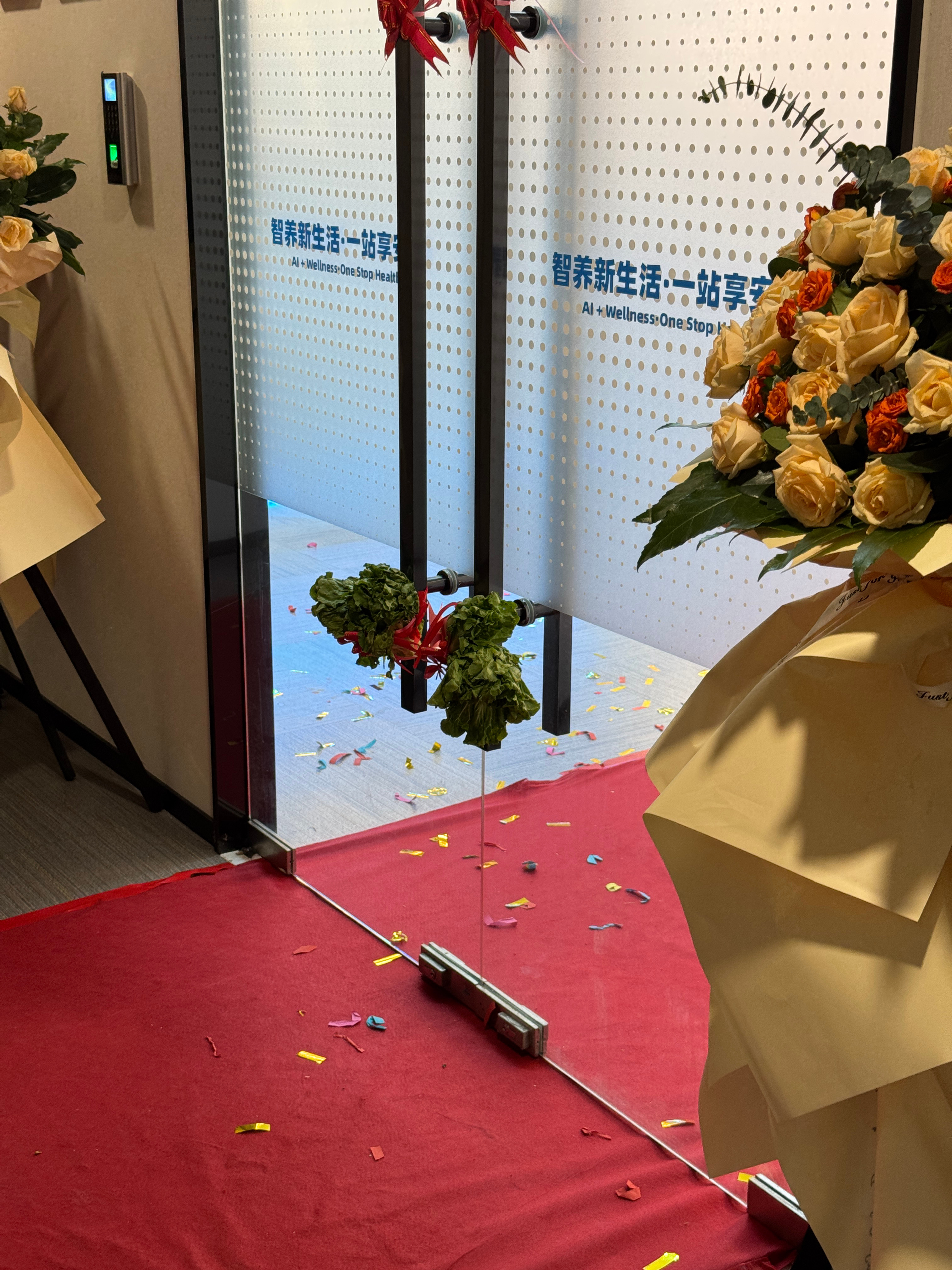 行！祝你们发财，别倒闭了，我老了来体验！生菜：生财