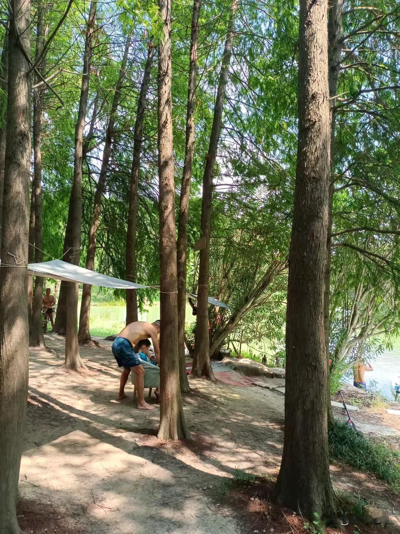 上海笔记：一些片段（上）
梁东方

河边坐
河边的原始风貌地带，除了已经明确是公