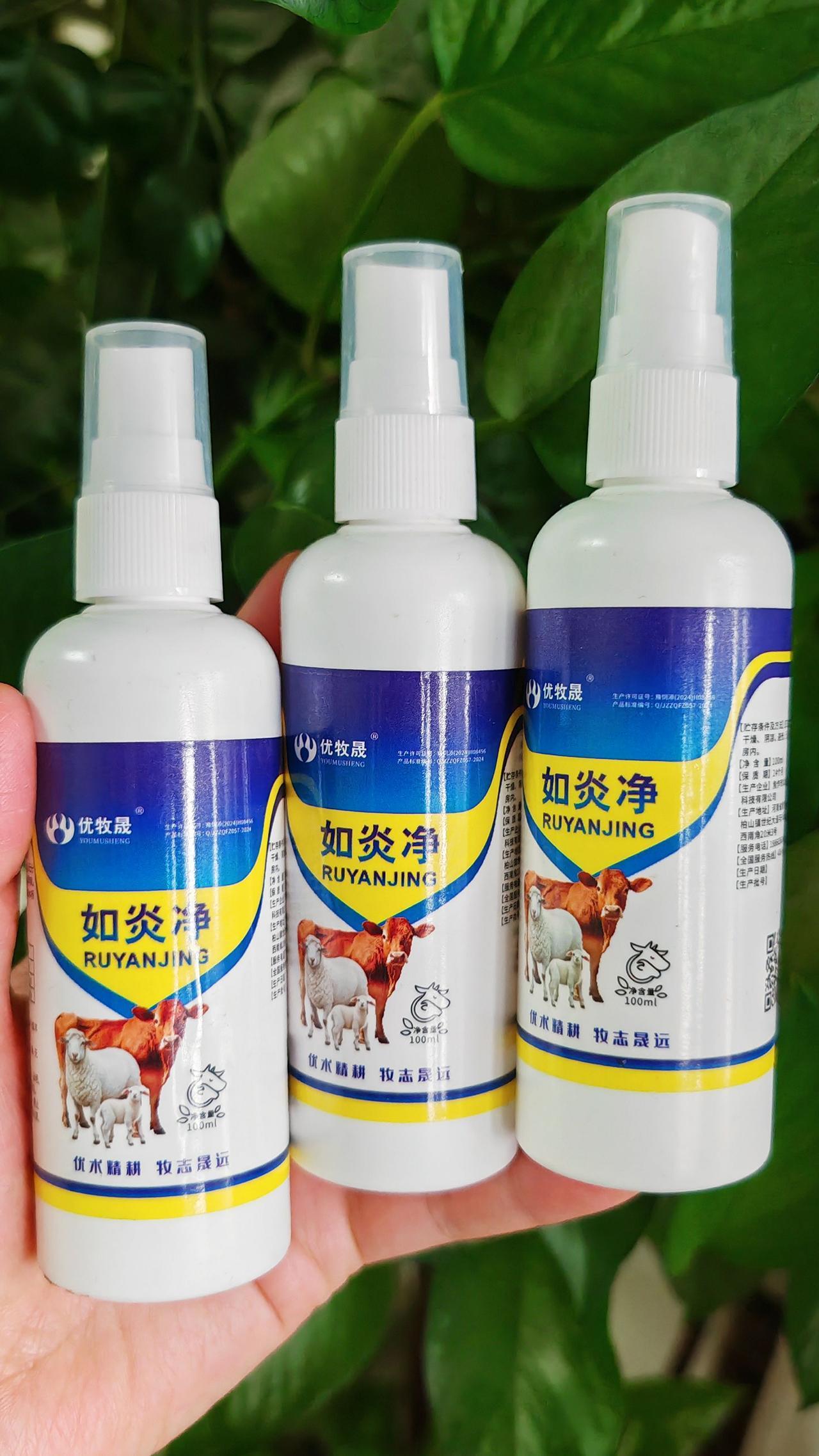 养羊人 农村养羊 牛羊养殖