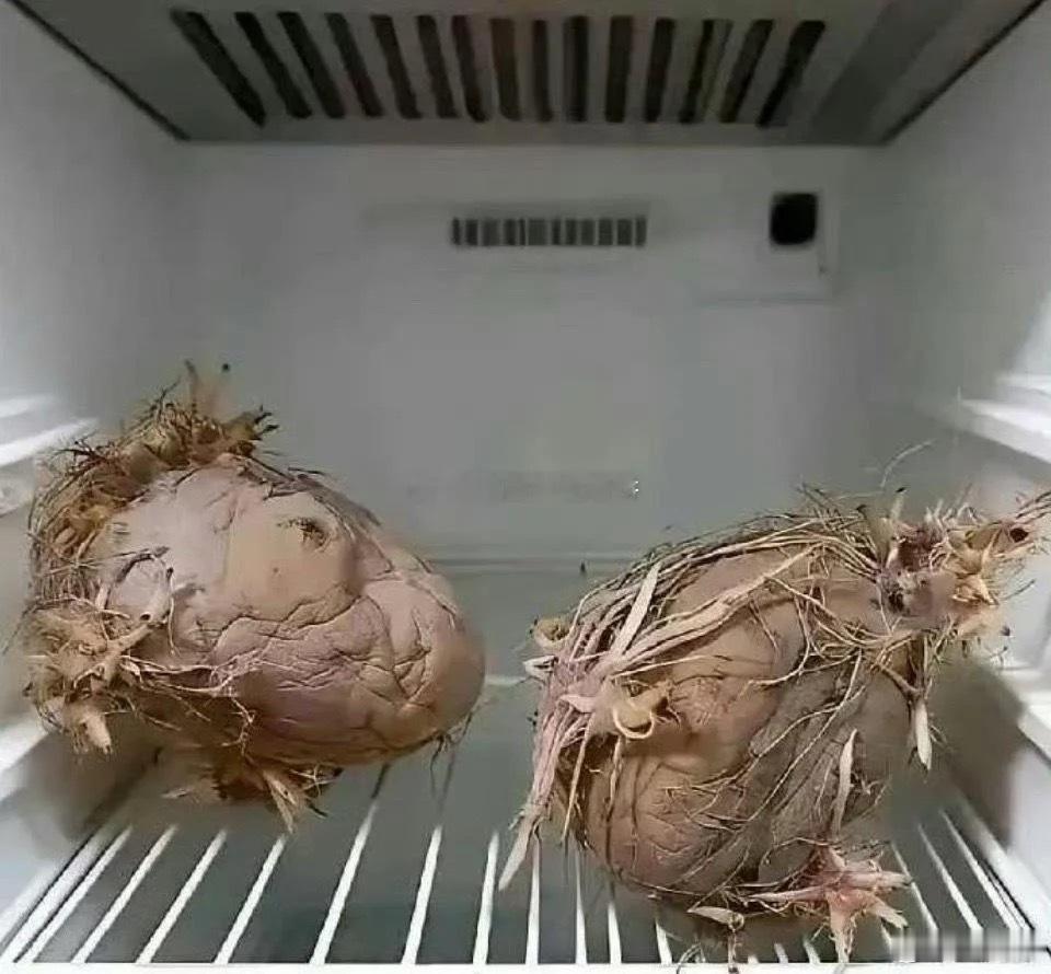 老一辈就是节约，殊不知电费都比他们贵 