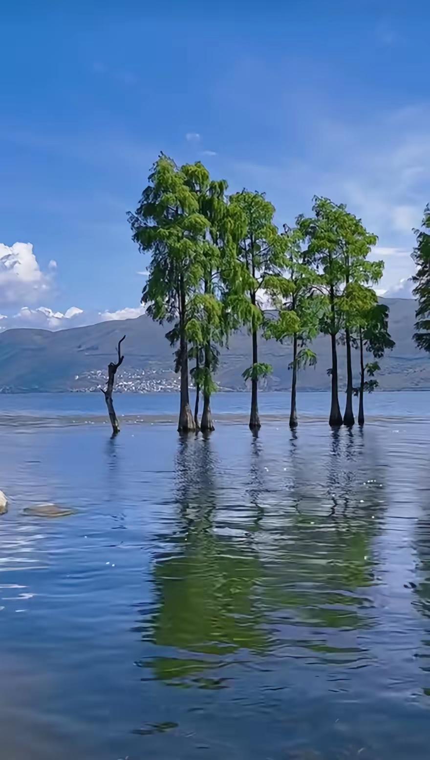 我就没见过这么“傻”的顶流，王曼昱这奖金拿得，简直就是个过路财神。

世乒赛那笔