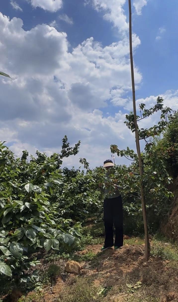 男人拍照，后果难料
  楼上小夫妻开开心心出门玩，昨天回来叮咚叮咚吵架，上去探探