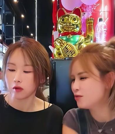 没有了瑾汐在身边，大哈二哈不管做什么事都是很团结的，因为她们两人的生活节奏基本一