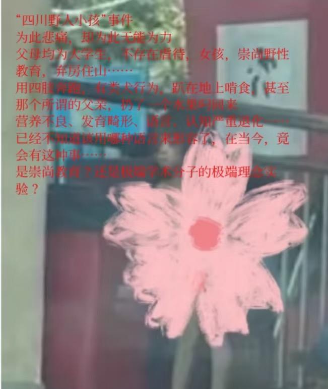 最近，四川的“野人小孩”火了
有人说是他父母在教育孩子与自然相处
也有人说是这个