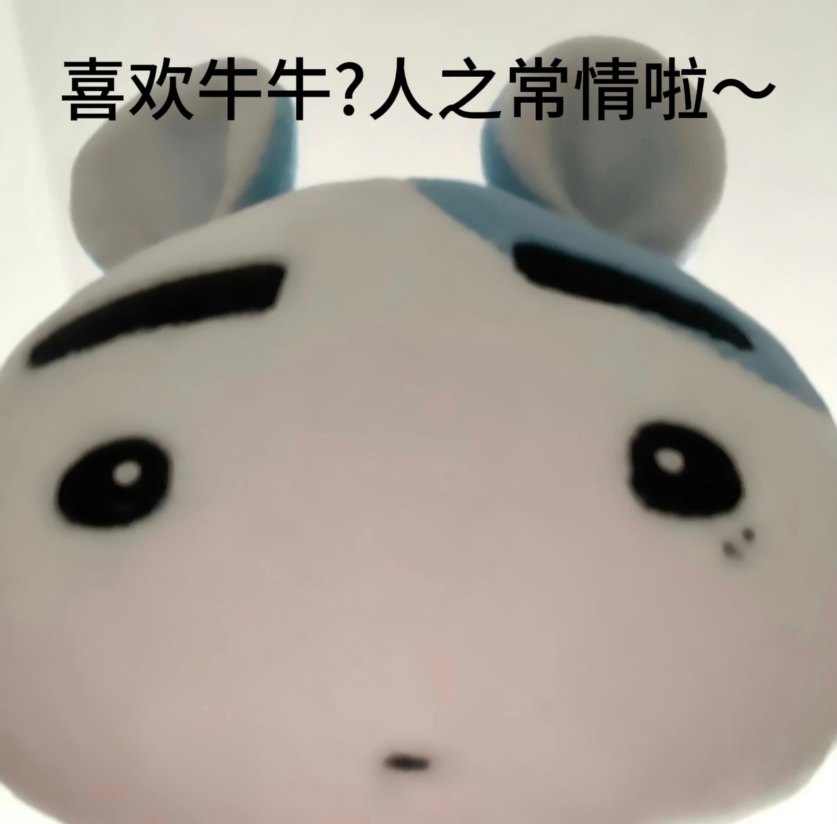 我们家牛牛真的是牛大了 ​​​