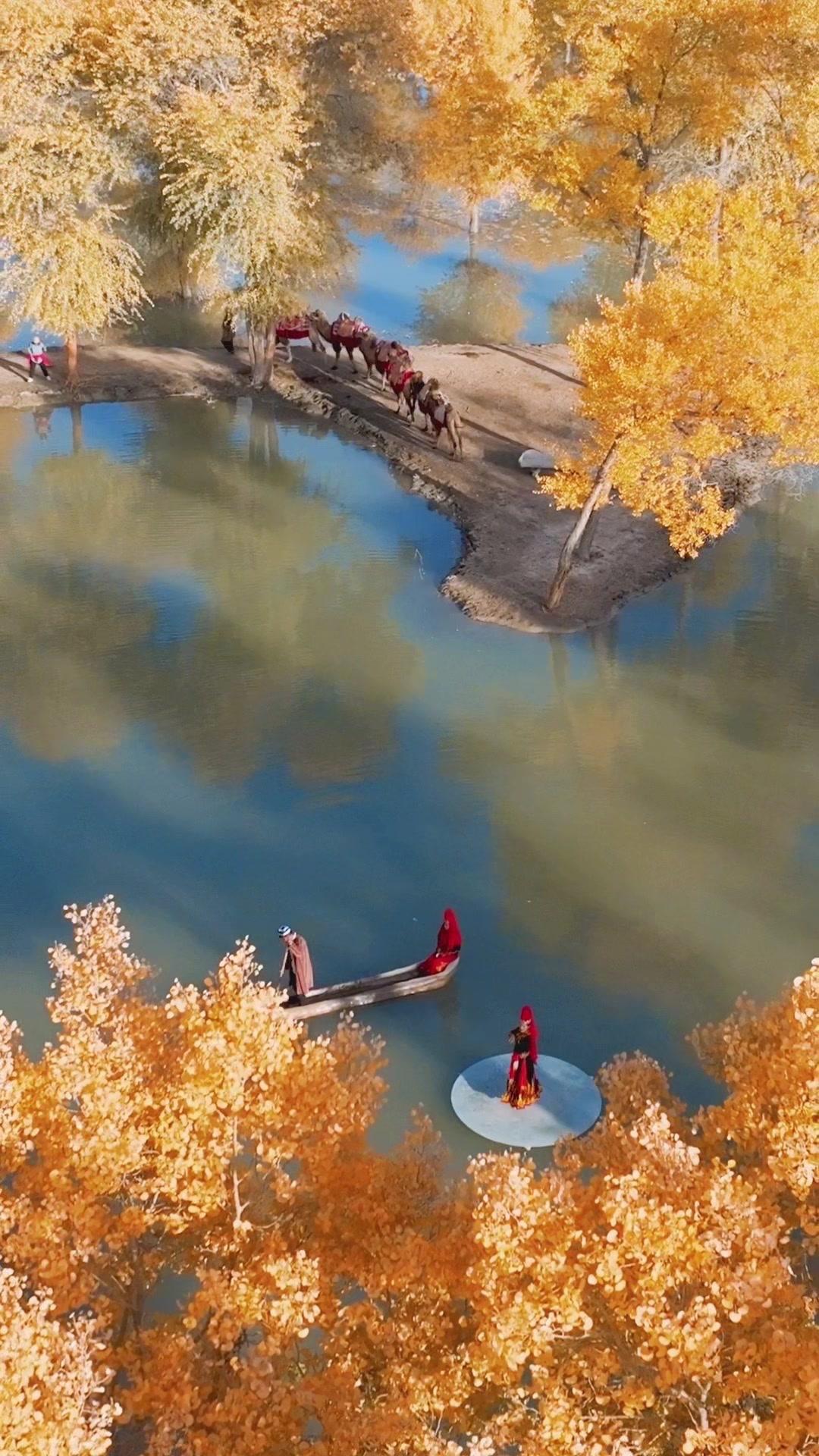 南疆限定秋色上线，刀郎部落秘境太治愈了！
🌿深秋的刀郎部落像是被晕染开的油画，