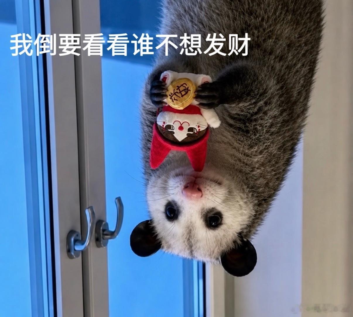 红包预告🧧周日下午17:20记得来领铁粉红包！也要记得打铁～互动～打铁～互动～