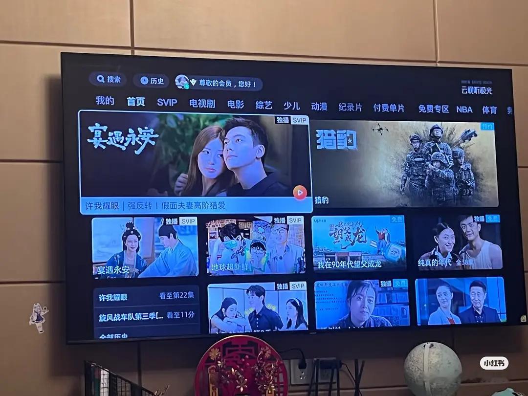 王涓涓，是故意的还是不小心的？赵露思许我耀眼的海报文字写的宴遇永安[笑cry] 