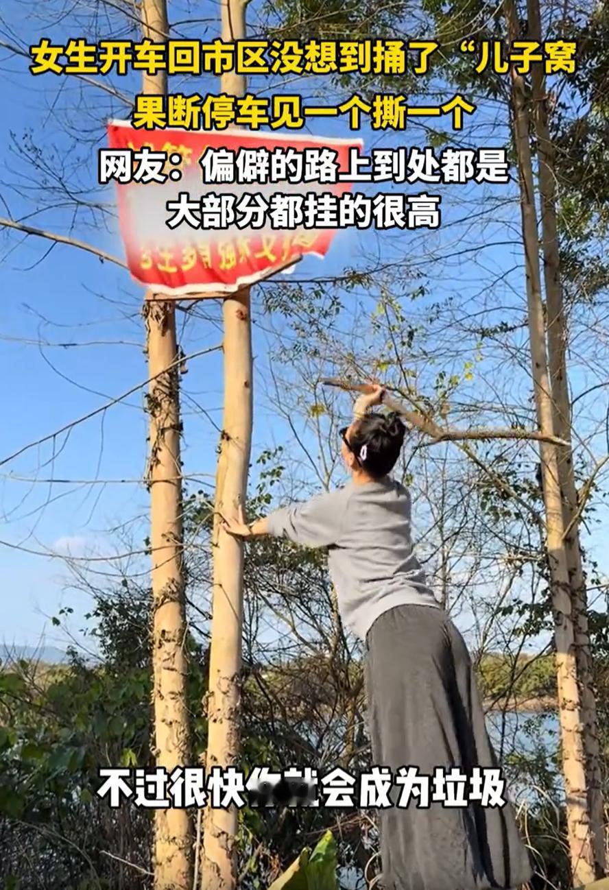 广东，一女子周末和妹妹开车去市里，没成想，这一路却发现捅了“儿子窝”，到处悬挂着