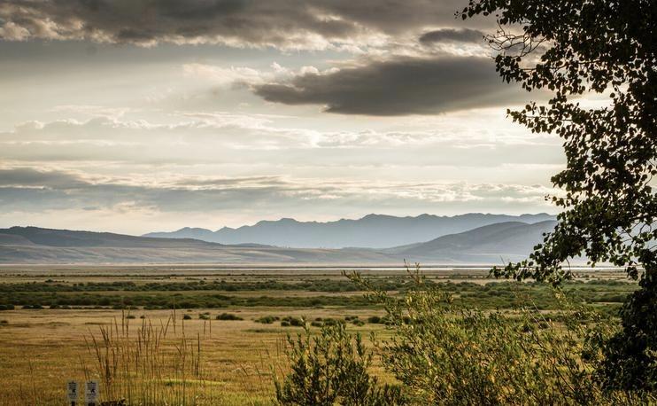 人生这场直播，
没有回放

在床上
辗转反侧无法入眠
已过了晚上十二点
脑子里