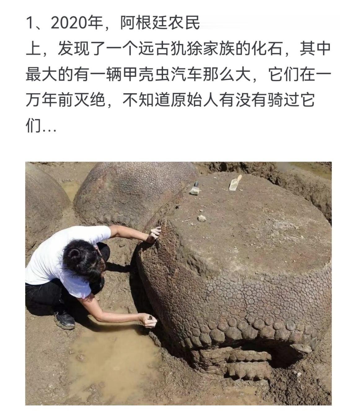 一万年前灭绝的生物为什么这么大？