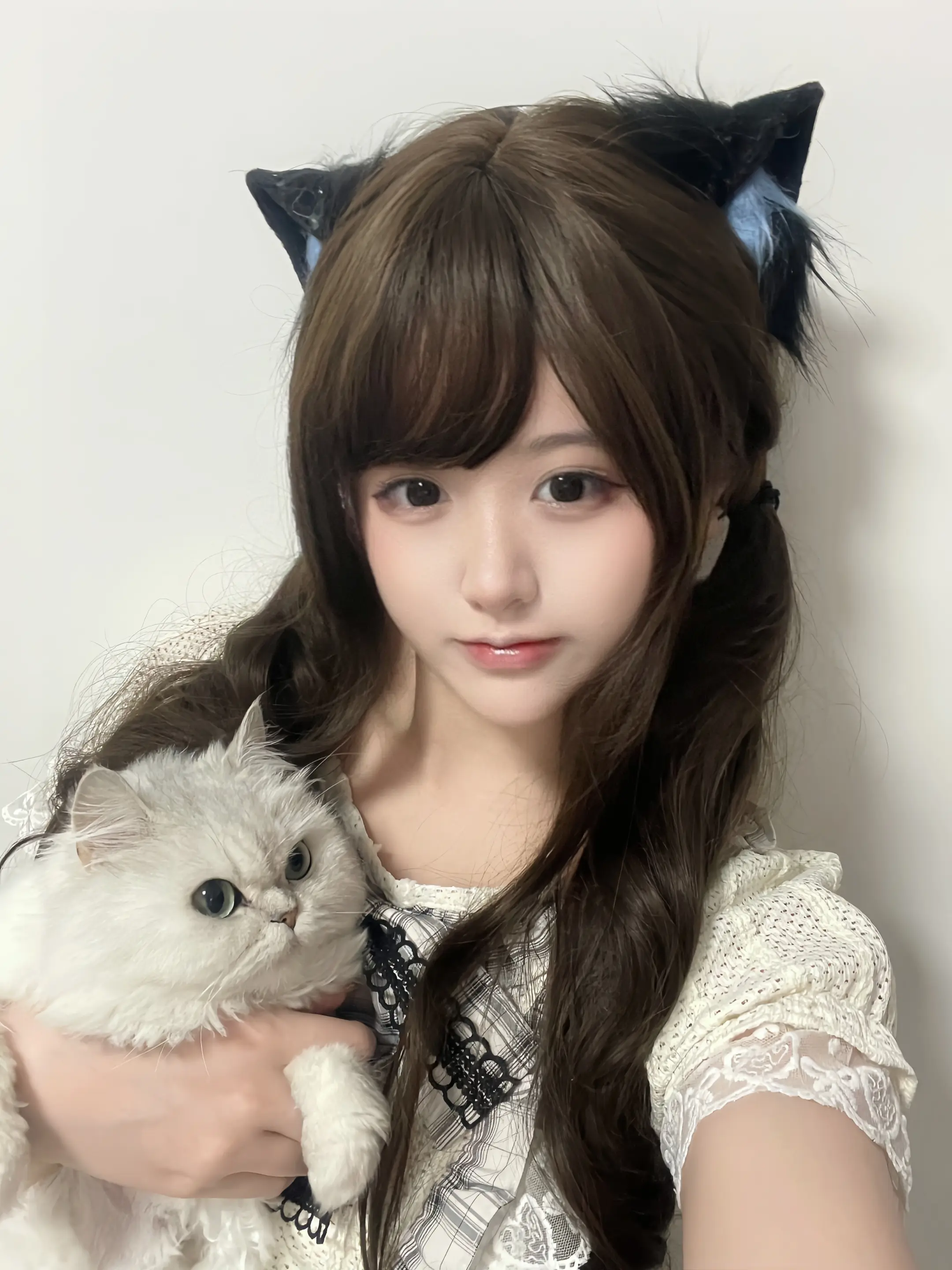 第一眼看的时候猫还是本喵?