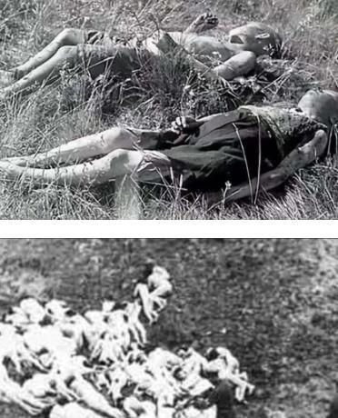 1941年，一群犹太女人被带到帕茹斯特森林，正当她们将要被处决时，立陶宛民兵成员