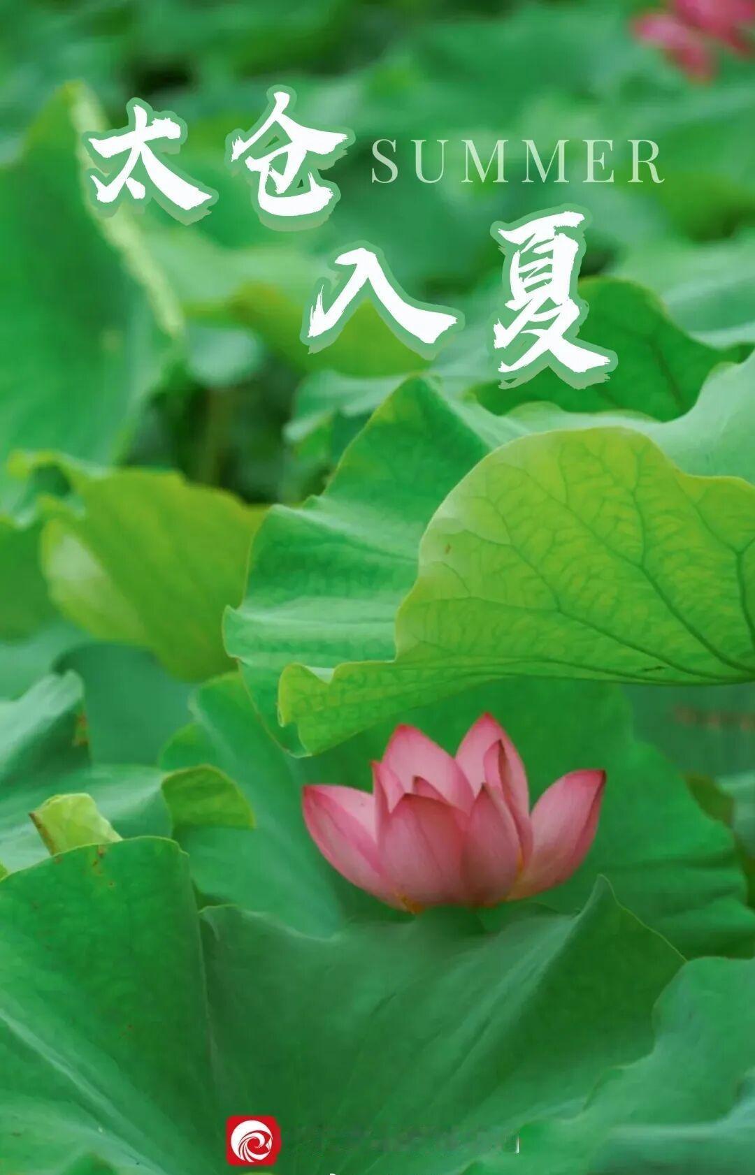 【官宣！太仓入夏】今天，太仓官宣入夏。气象学上的入夏标准为日平均气温连续5天≥2