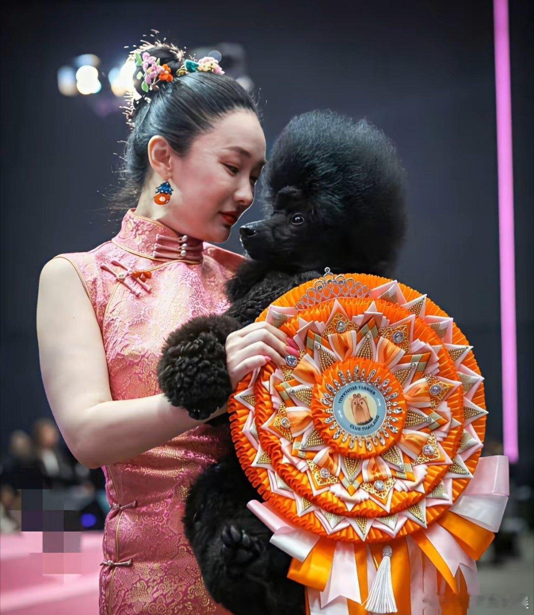 终于明白霍思燕最大的贡献不是带着自家的狗狗参加比赛拿到了冠军，而是利用她明星的影