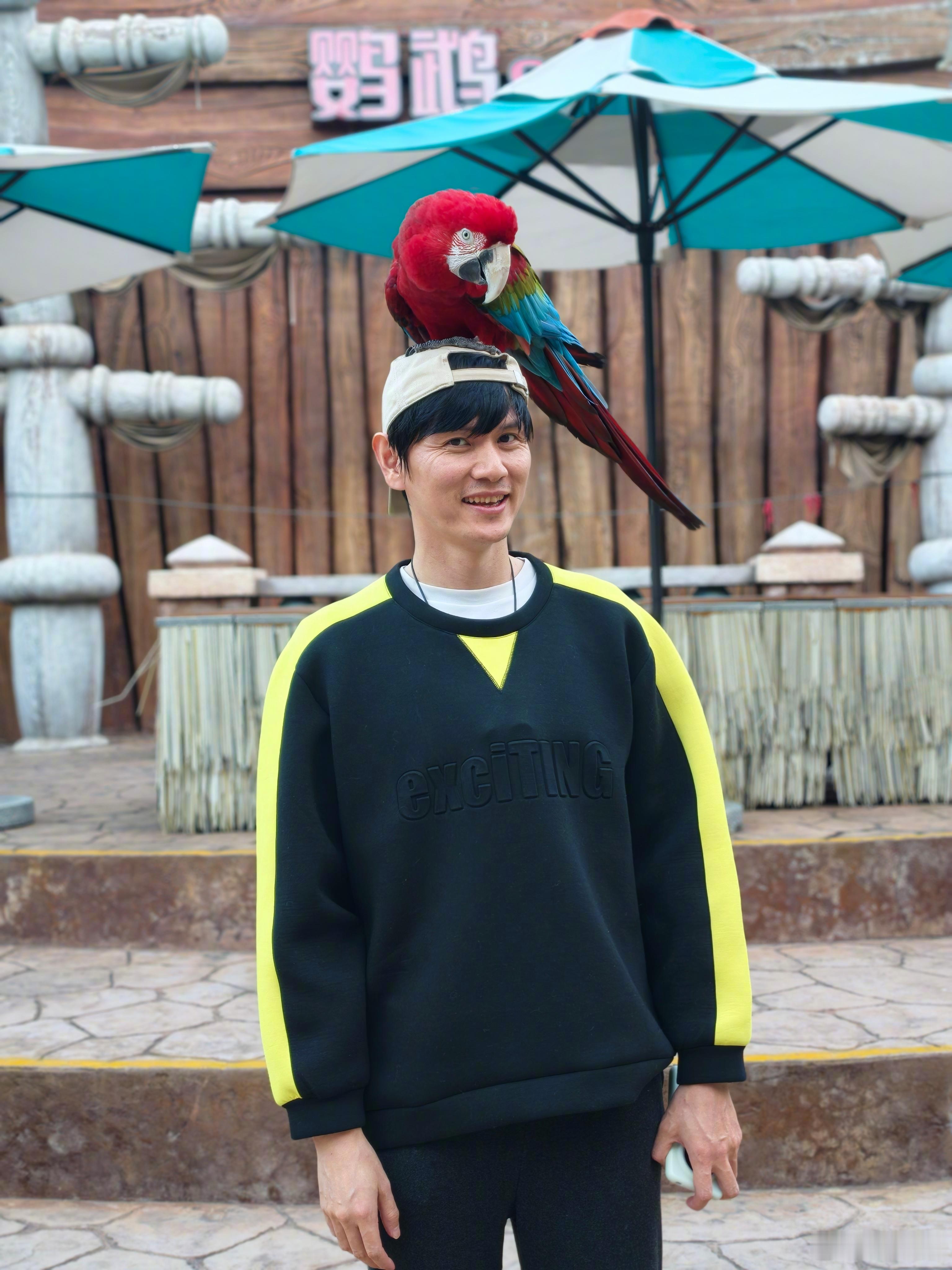 红鹦当头，祝各位顺心顺利到年底