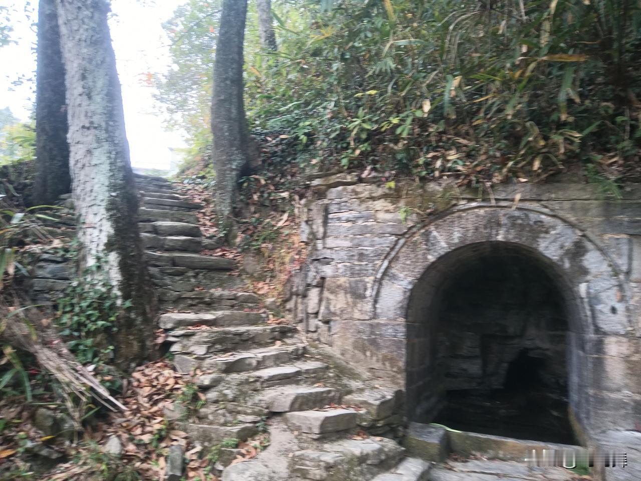 深感新锐创作者与精选铁粉挂件，毫无意义，主动取消。