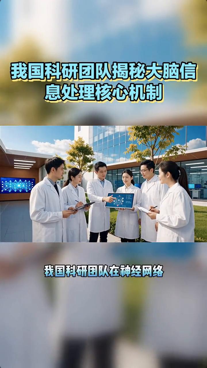 我国科研团队揭秘大脑信息处理核心机制。
我国科研团队揭秘大脑信息处理核心机制，突