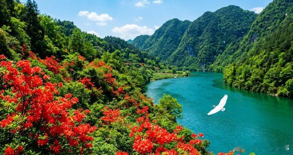 中国古诗诗画合一，其实想想不止是画。“江碧鸟逾白，山青花欲燃”——碧、白、青、红