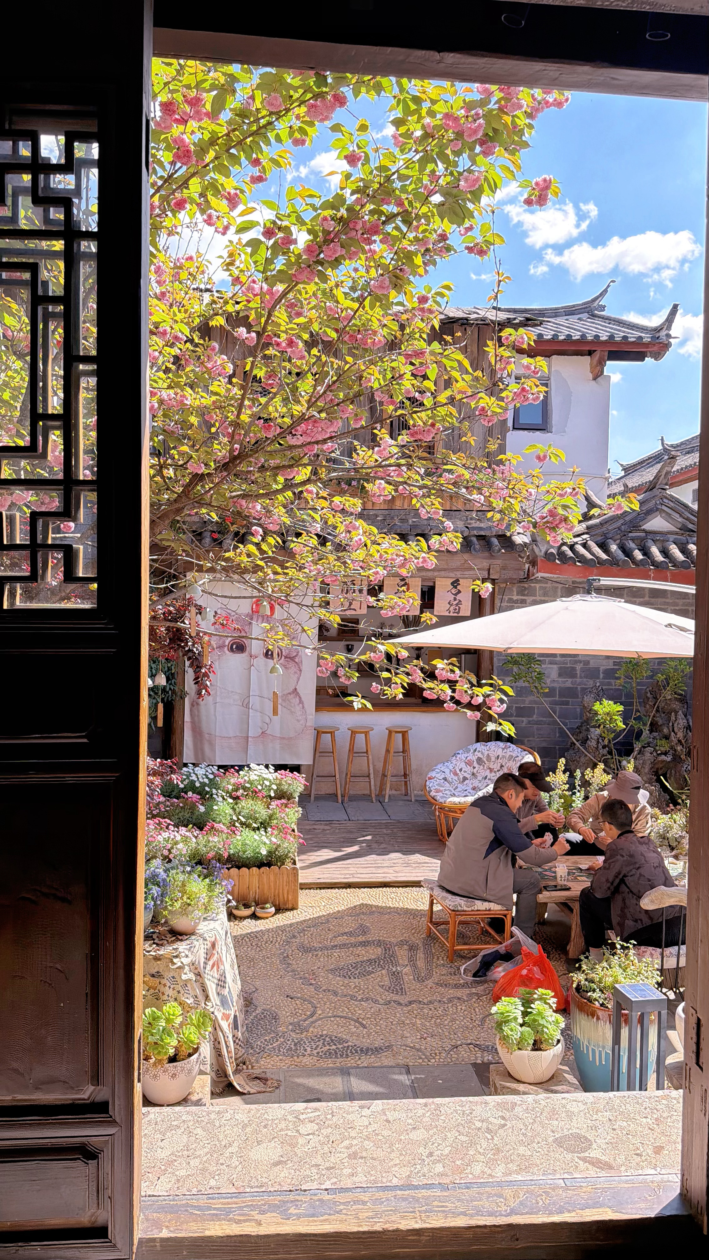 丽江狠狠戳中我了😭出来玩才发现，舒服比打卡重要一万倍不想人挤人、不想赶景点、不