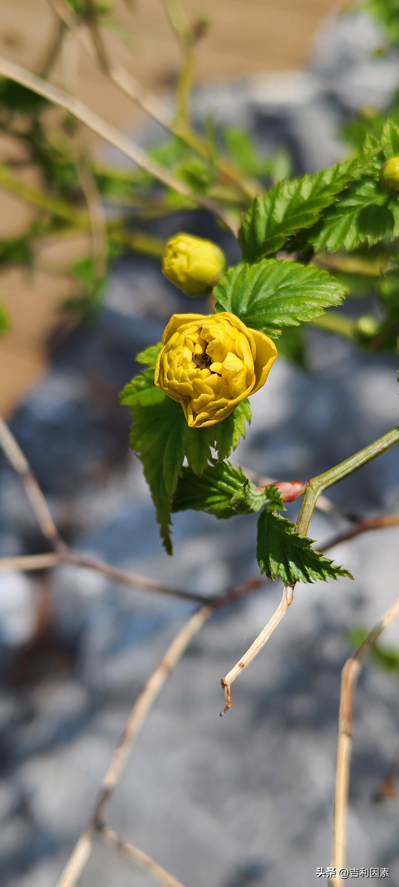 张雪峰公司楼下摆满悼念鲜花心里有人民，人民就会记得他。虽然只过了半生，却完成了一