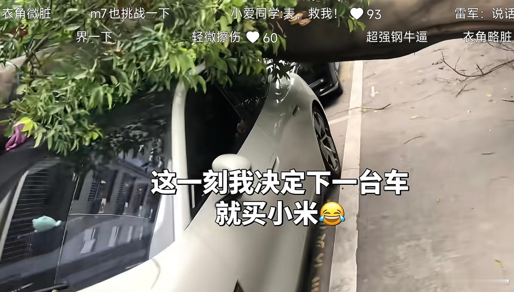 啥才是“安全”？看看这台小米SU7，硬扛倒下的大树，车身无明显变形，甚至连玻璃都