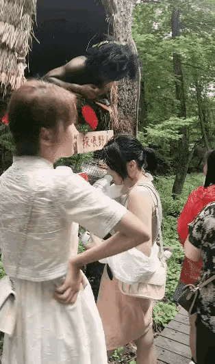 这工作也挺好啊