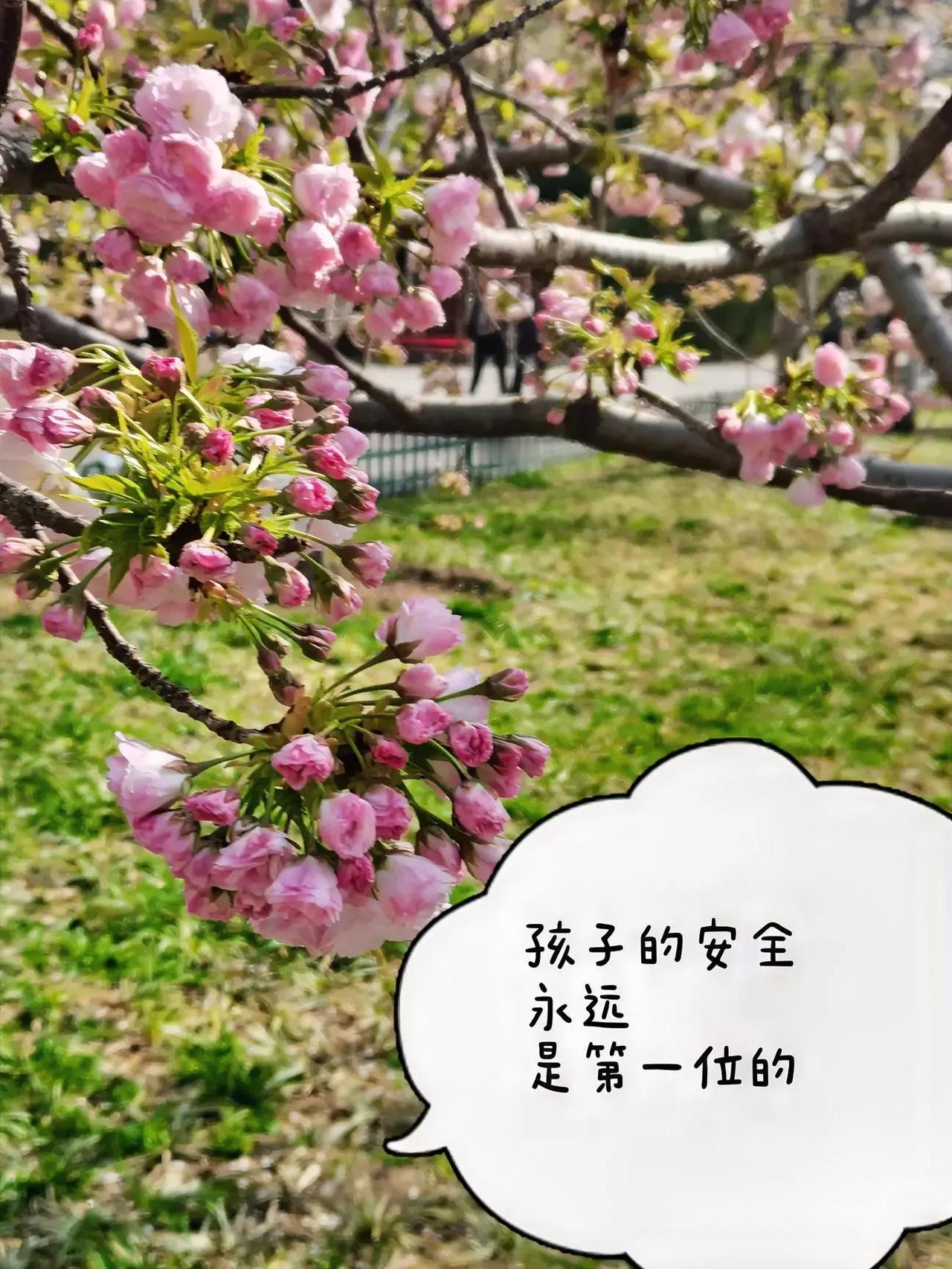 对儿童的性教育，是我们整个体系中的一块短板，因此，导致相当一部分的儿童对性教育懵