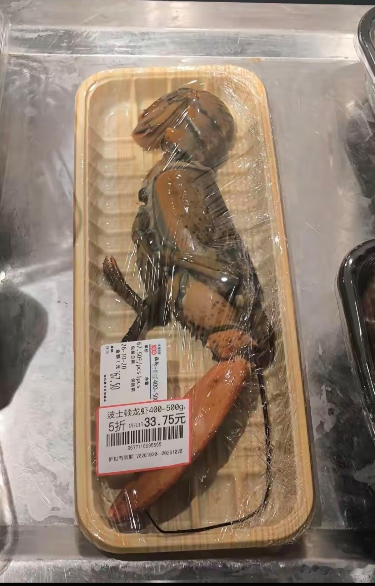 别放大看，像不像一个恐龙？