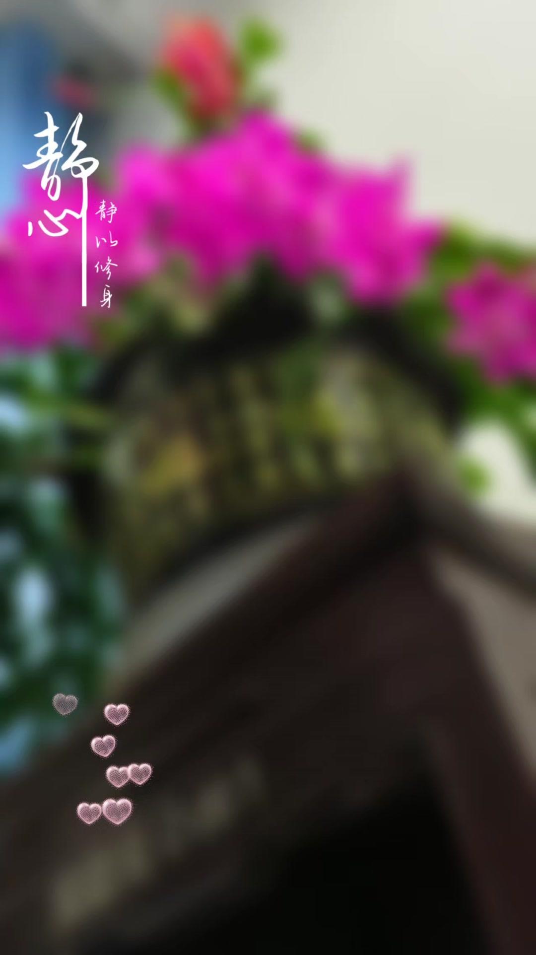 家里蟹爪兰开得正艳，好喜欢这抹粉；大叶子绿植静静立在角落，很治愈；花瓶里插着多彩