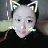 梦蛾