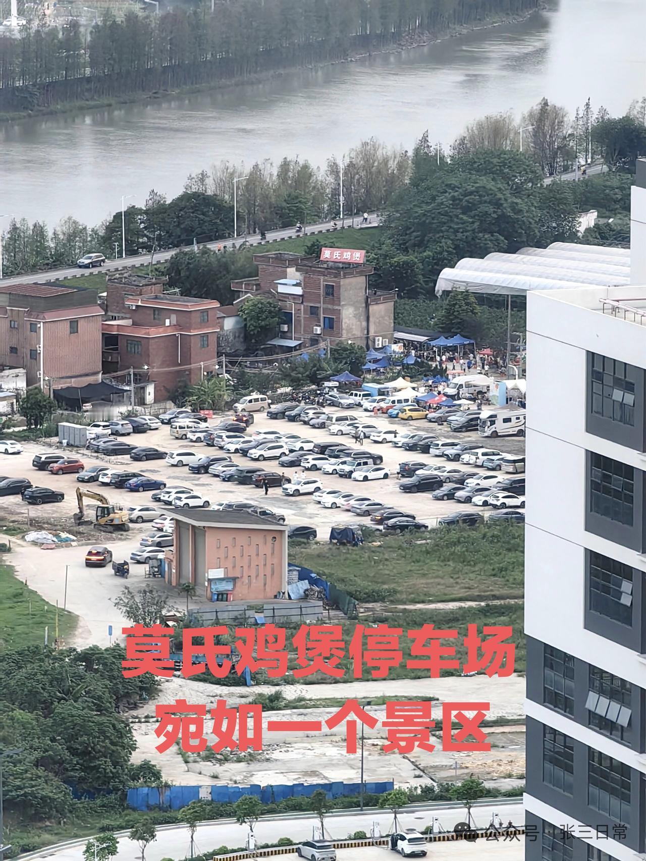 一个小店带火一座城，顺德莫氏鸡煲每天都有很多人从各地赶来品尝，有黑龙江来的，还有