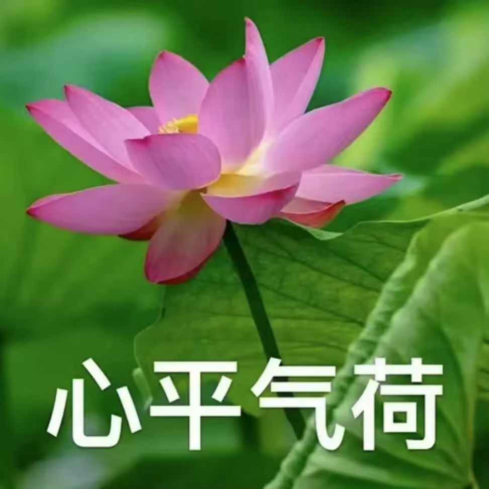 我还想着没人搬图吧，一点进sm yxh发现早就发了