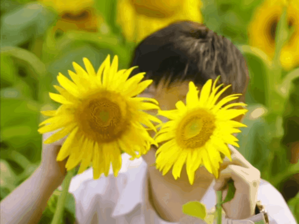 祖国是颗红太阳
莎莎就是向阳花

祖国培养了她
赛场来报答

五星红旗迎风飘
那